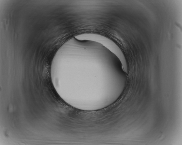 X0000096490029200802211248