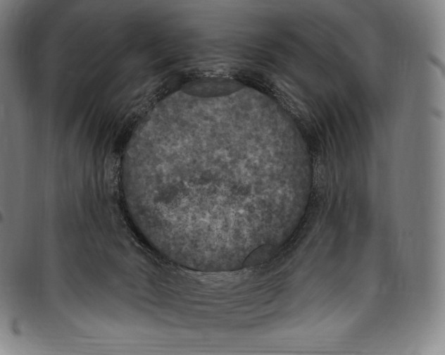 X0000096490030200802211248