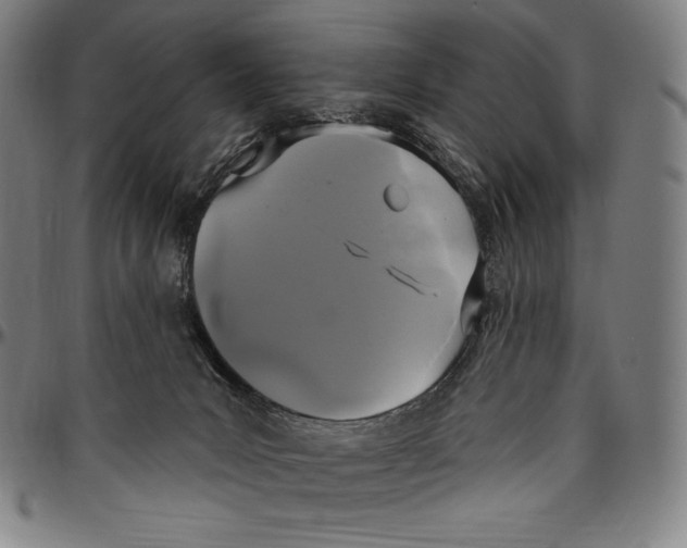 X0000096490031200802211248