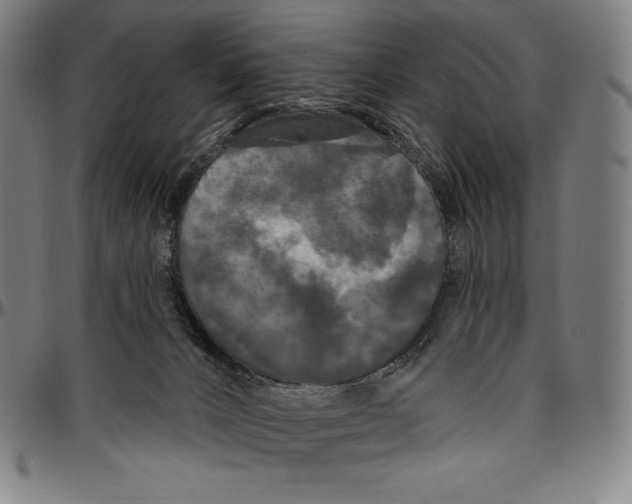 X0000096490032200802211248