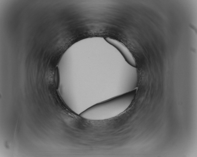 X0000096490033200802211248