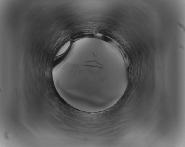 X0000096490035200802211248