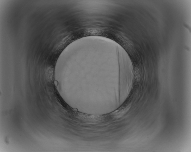 X0000096490036200802211248