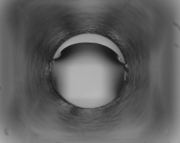 X0000096490037200802211248