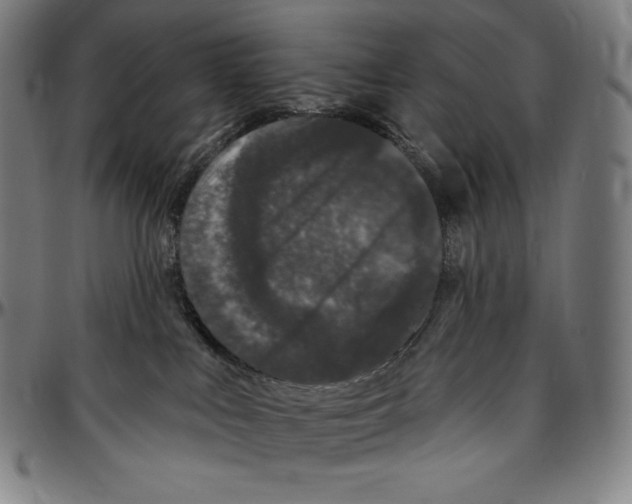 X0000096490043200802211248