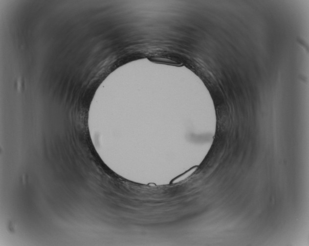 X0000096490044200802211248