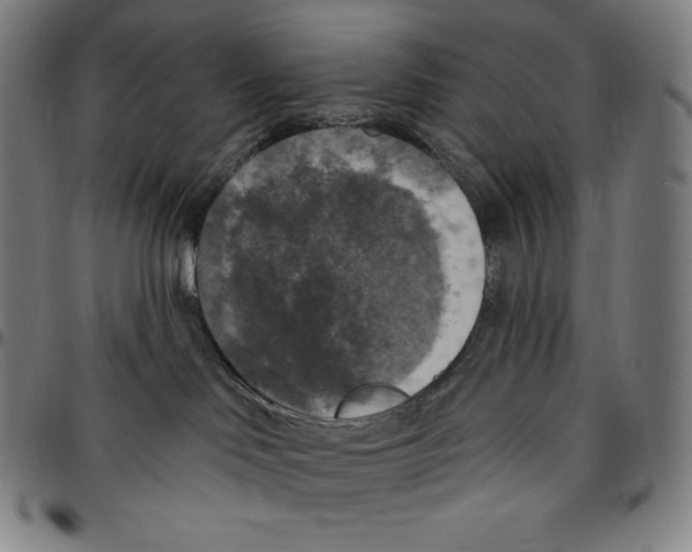 X0000096490046200802211248