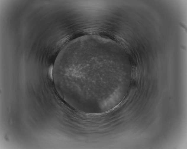 X0000096490047200802211248