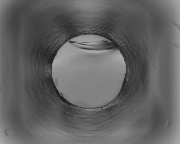 X0000096490048200802211248