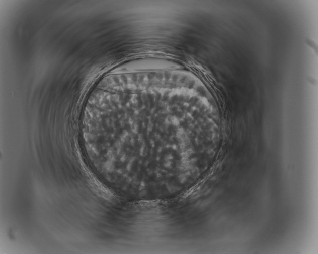 X0000096490049200802211247