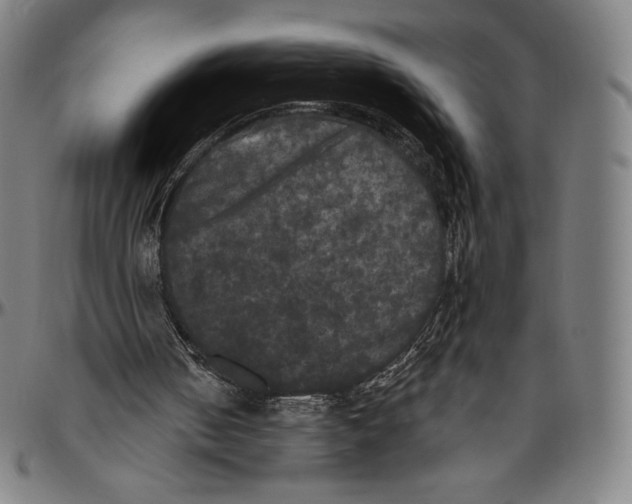 X0000096490050200802211247