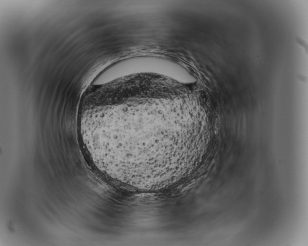 X0000096490052200802211247