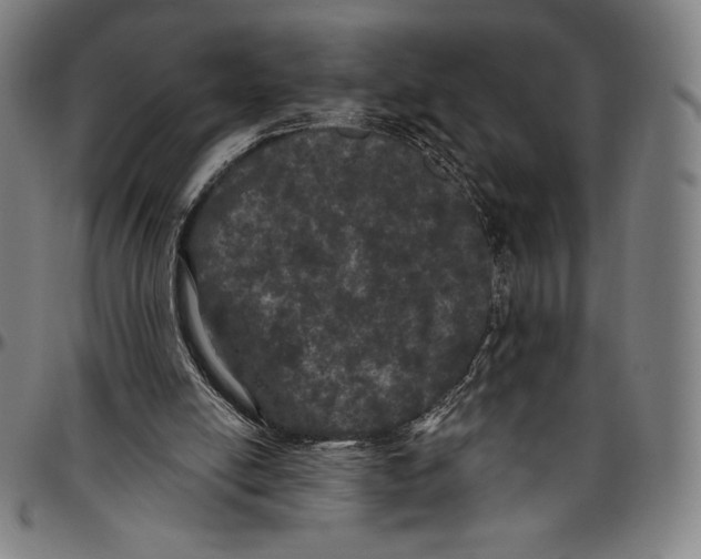 X0000096490054200802211247