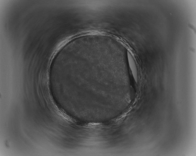 X0000096490055200802211247