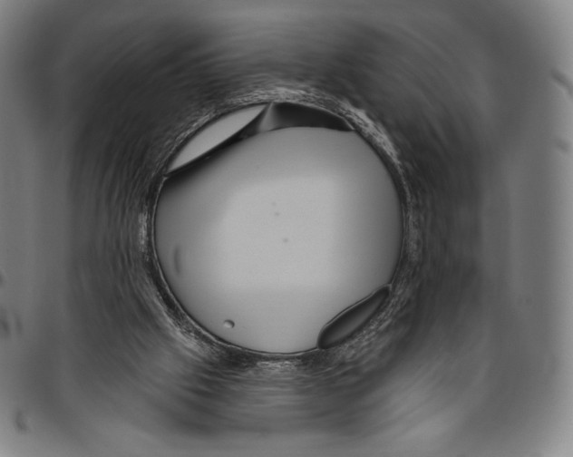 X0000096490057200802211247