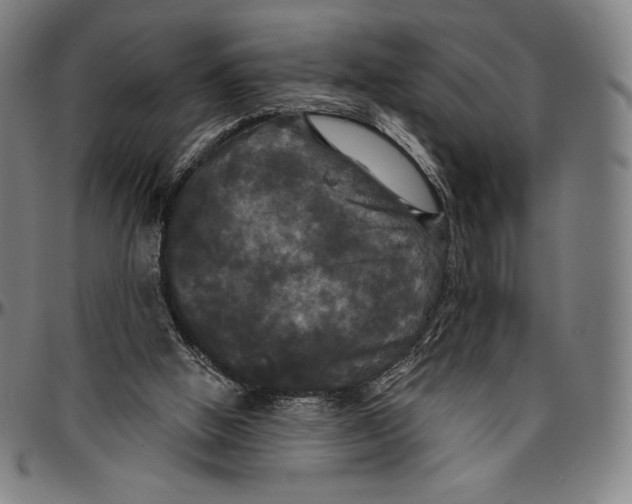 X0000096490058200802211247