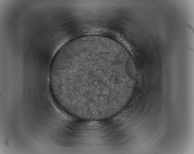 X0000096490059200802211247