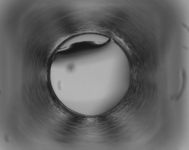 X0000096490060200802211247