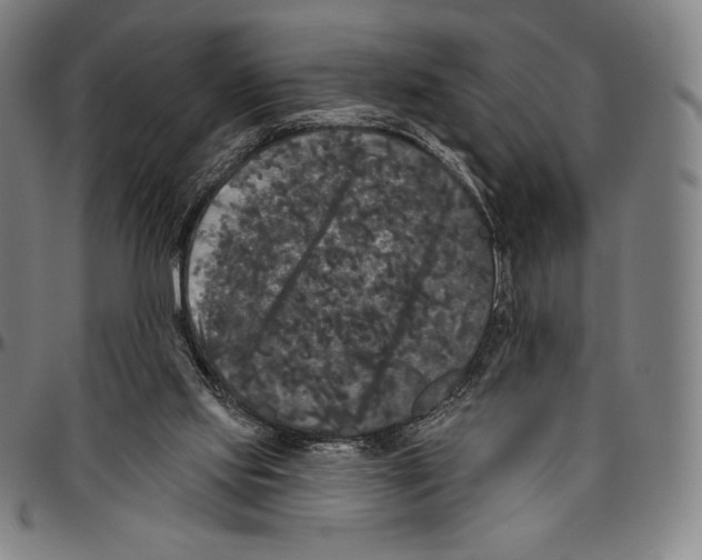 X0000096490061200802211247