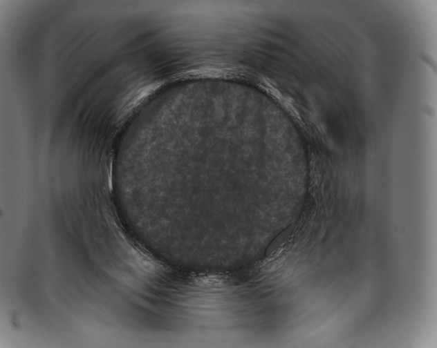 X0000096490062200802211247