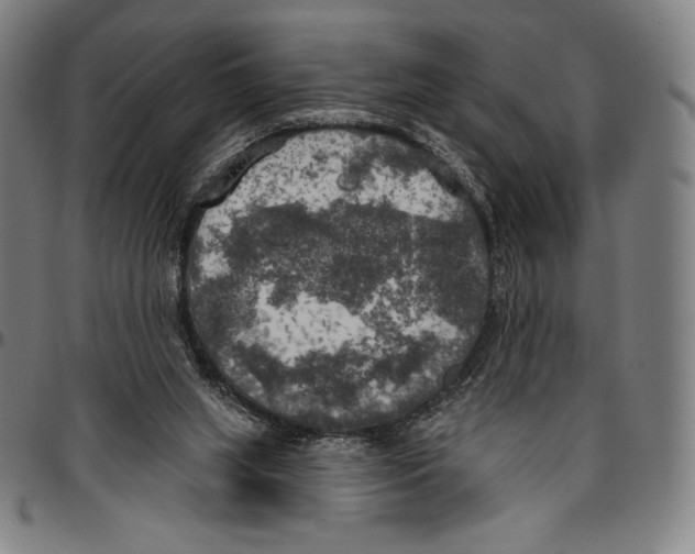 X0000096490063200802211247