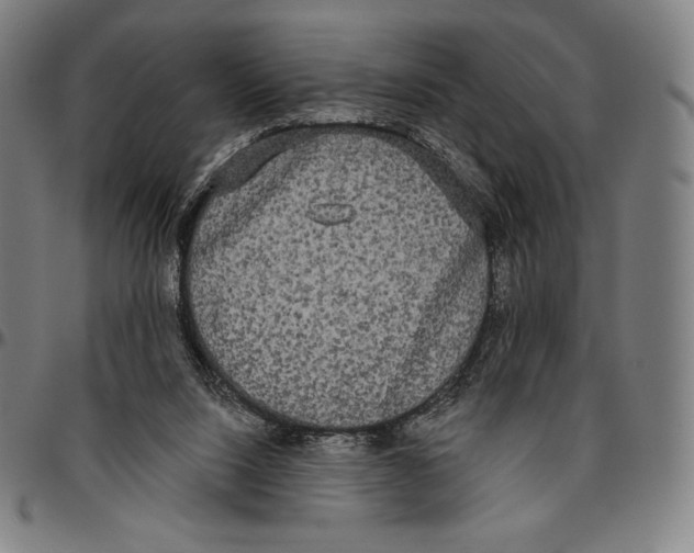 X0000096490064200802211247