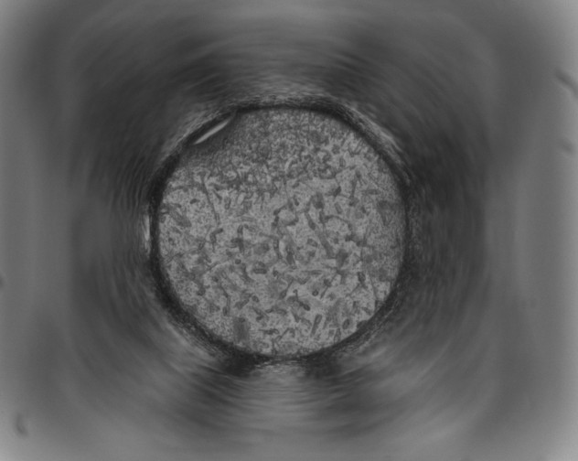 X0000096490067200802211247