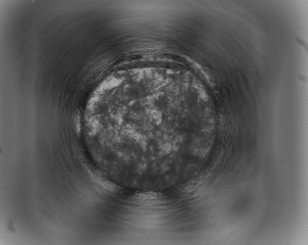 X0000096490069200802211247