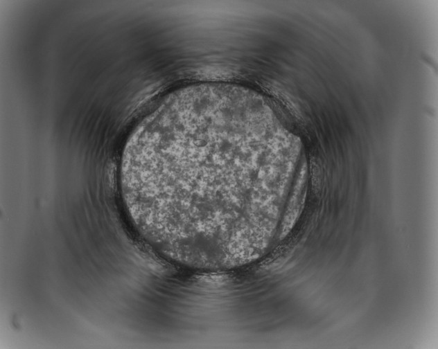 X0000096490071200802211247