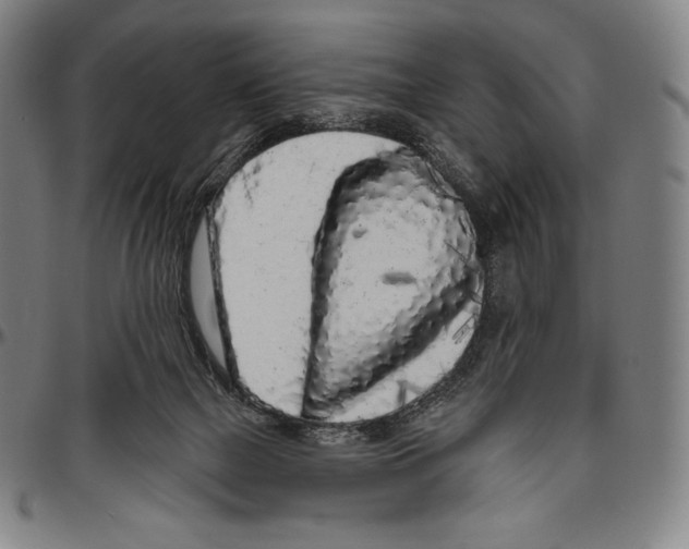 X0000096490073200802211247