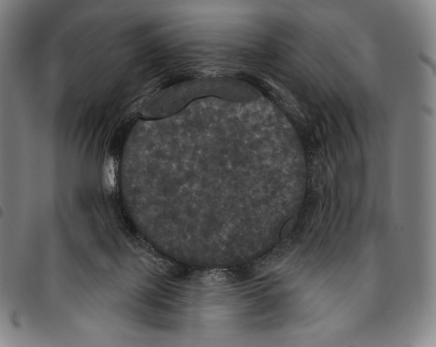 X0000096490075200802211247