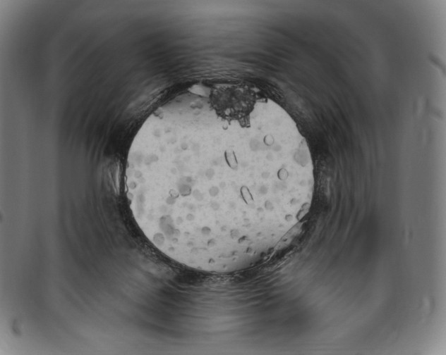 X0000096490076200802211247