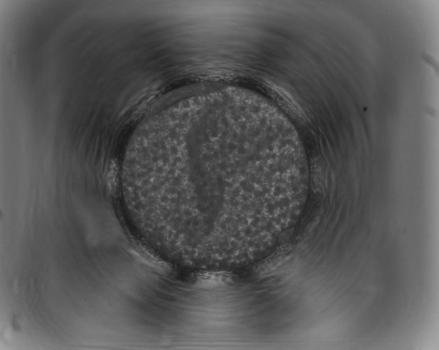 X0000096490077200802211247