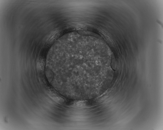 X0000096490078200802211247