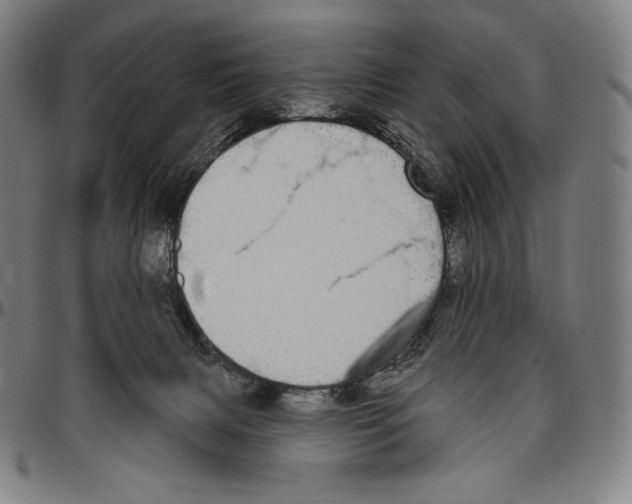 X0000096490079200802211247