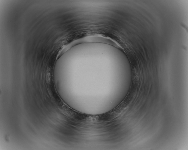 X0000096490080200802211247