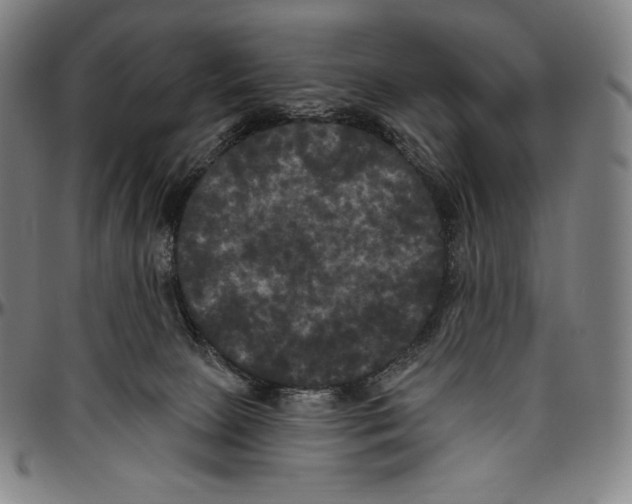 X0000096490081200802211247