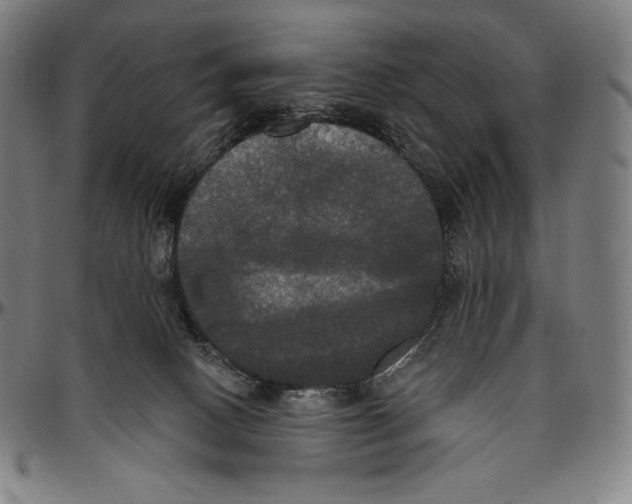 X0000096490082200802211247