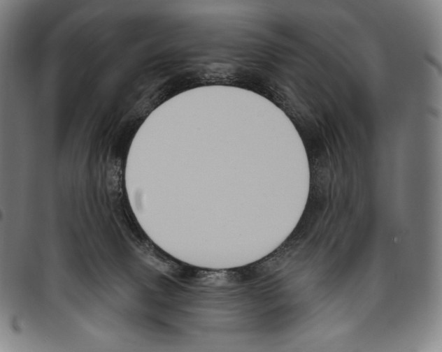 X0000096490083200802211247