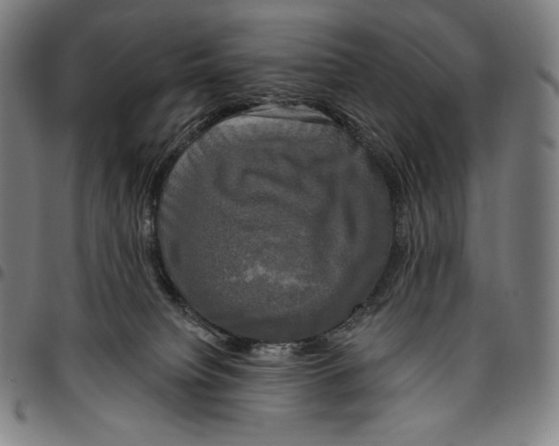 X0000096490084200802211248