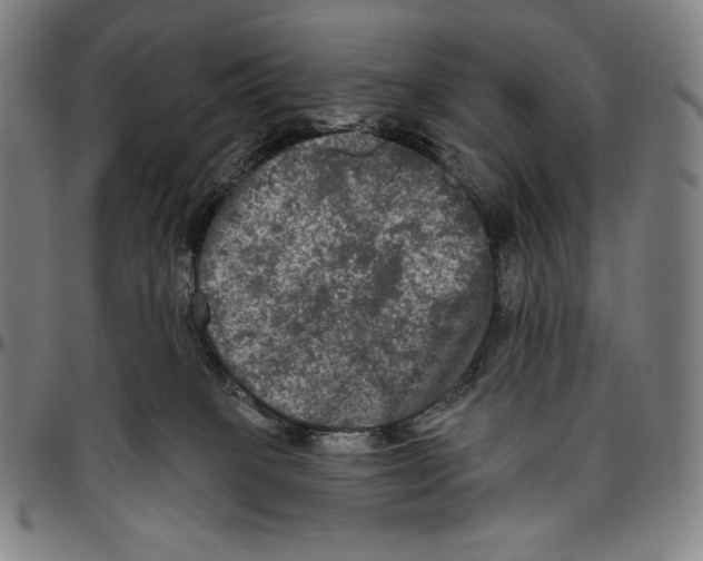 X0000096490085200802211248