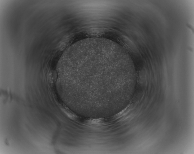 X0000096490086200802211248