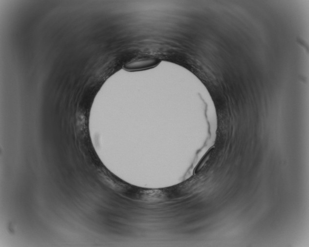 X0000096490087200802211248