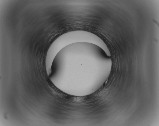 X0000096490088200802211248