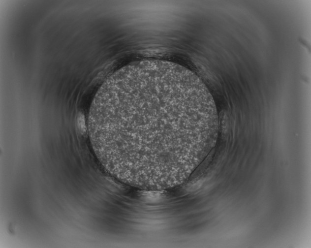 X0000096490089200802211248