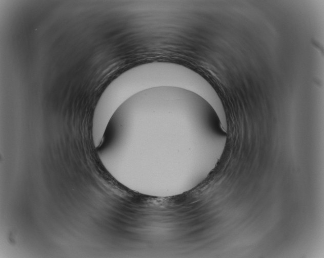 X0000096490092200802211248