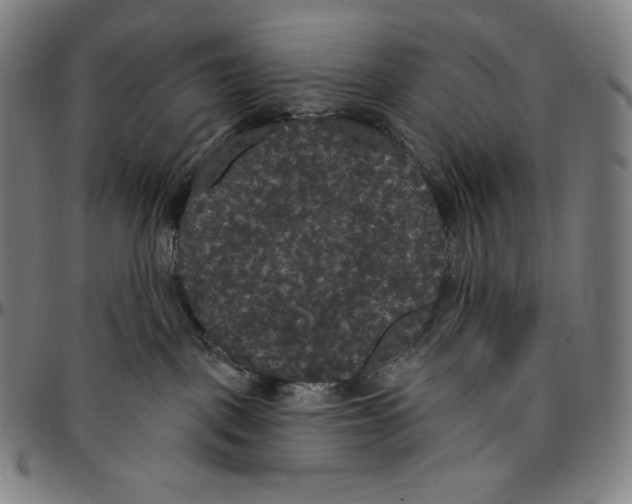 X0000096490093200802211248