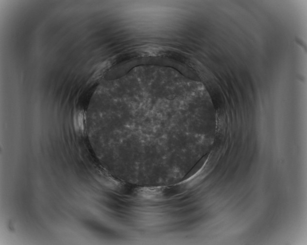 X0000096490094200802211248