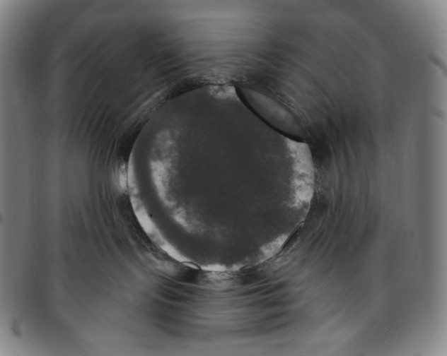 X0000096490095200802211248