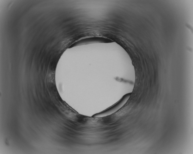 X0000096490096200802211248